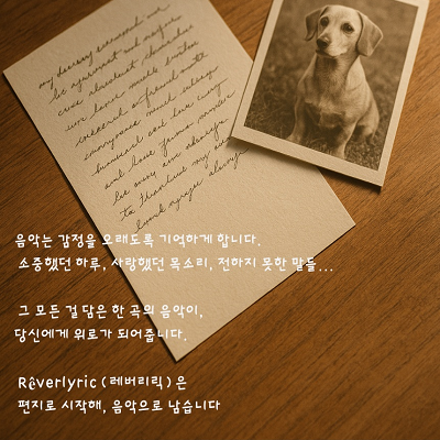 레버썸네일2