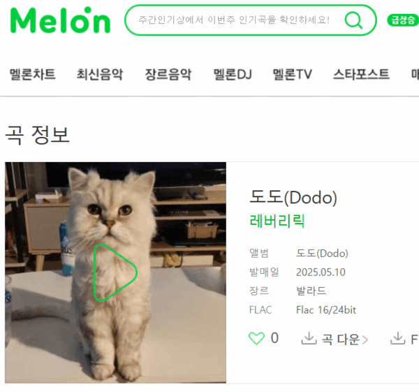 반려묘 사진과 곡명이 표시된 맞춤 추모 음악 화면